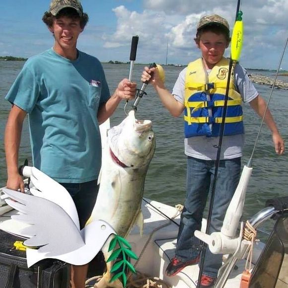 Meet your Posher, Michael - Picture 1 of 1